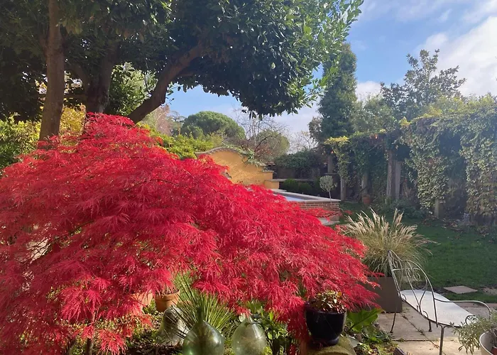 Hôtel accueillant les animaux: Le Rez de Jardin Albi