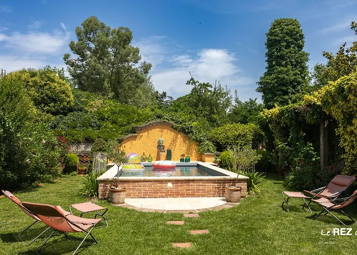 Hôtel accueillant les animaux: Le Rez de Jardin Albi